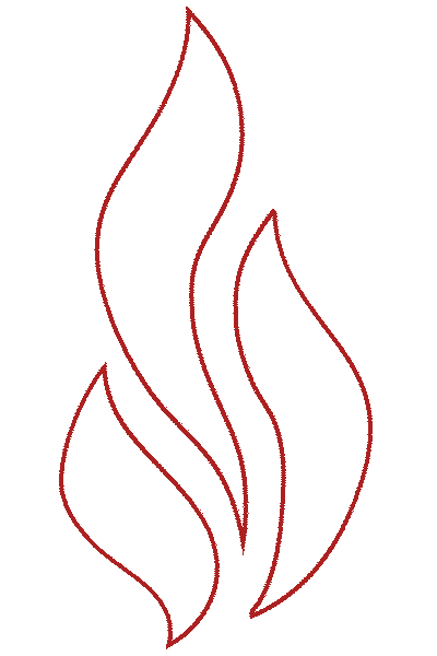 FireGold - Jiří Kozel